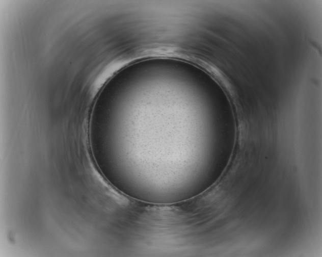 X0000099481432200805161124
