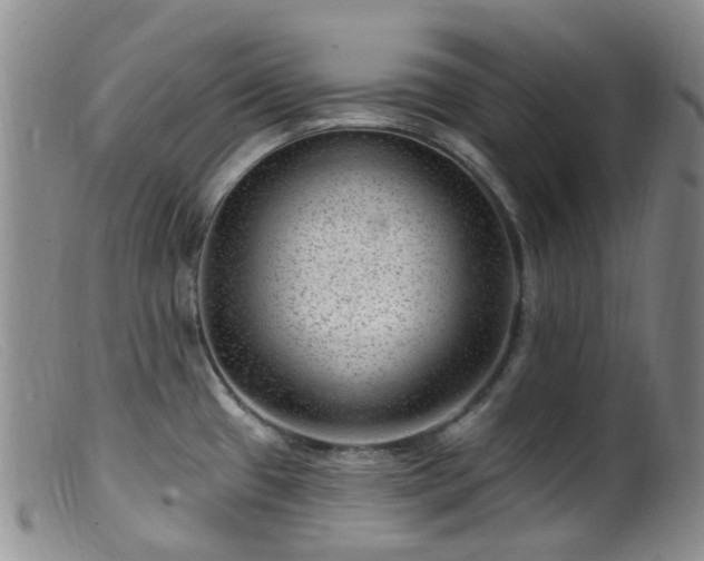 X0000099481433200805161124
