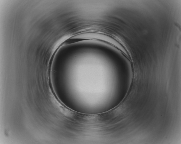 X0000099481434200805161124