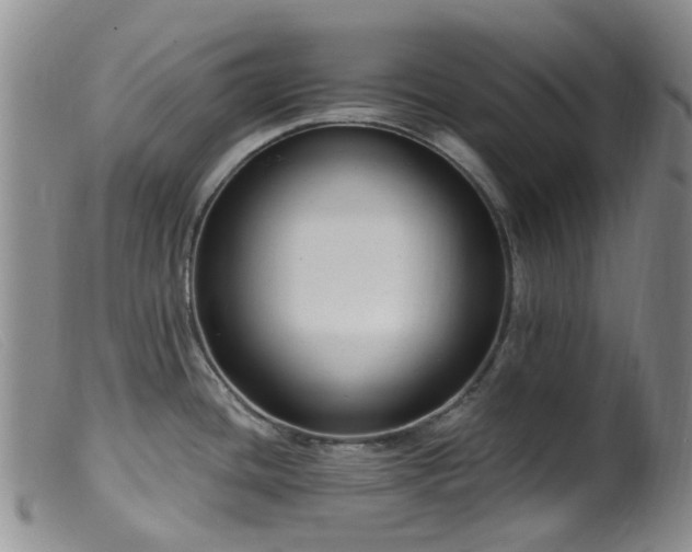 X0000099481436200805161124