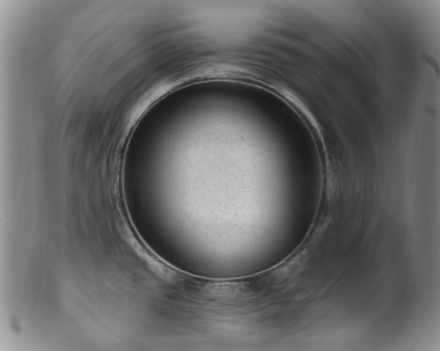 X0000099481437200805161124