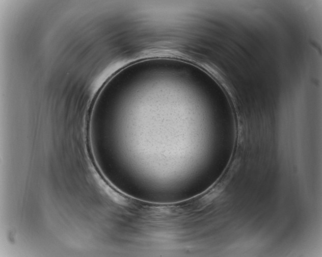 X0000099481438200805161124
