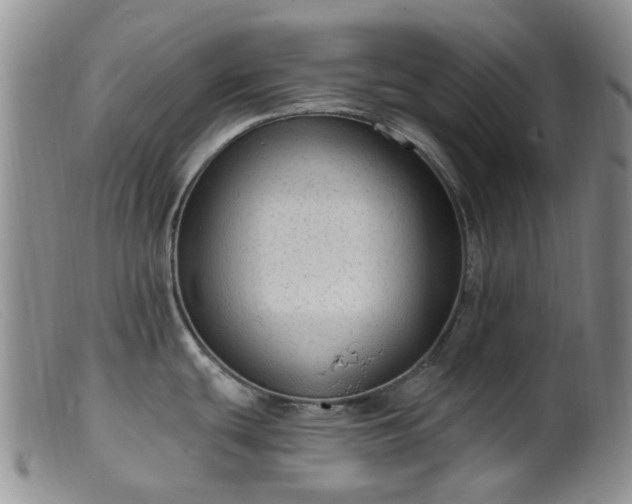 X0000099481439200805161124