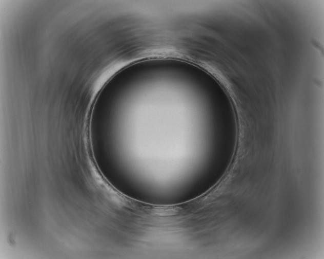 X0000099481440200805161124