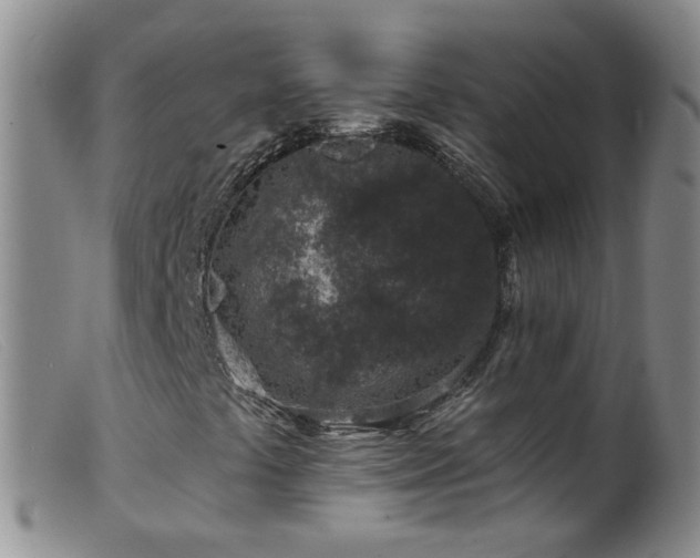 X0000099481441200805161123