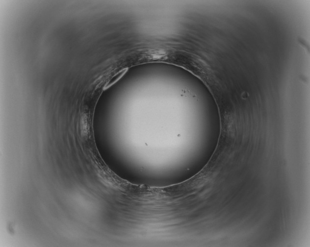 X0000099481442200805161123