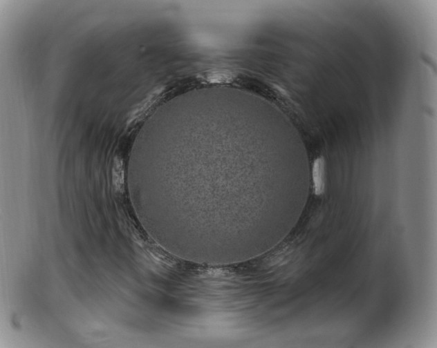 X0000099481443200805161123