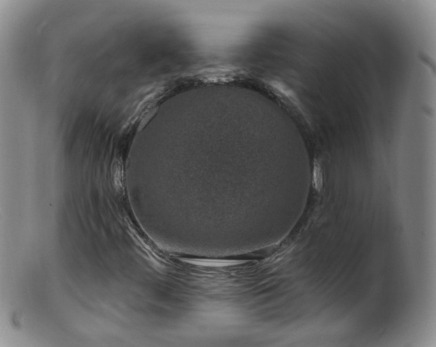 X0000099481444200805161123