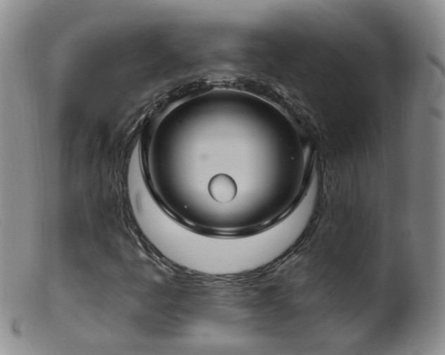 X0000099481445200805161123