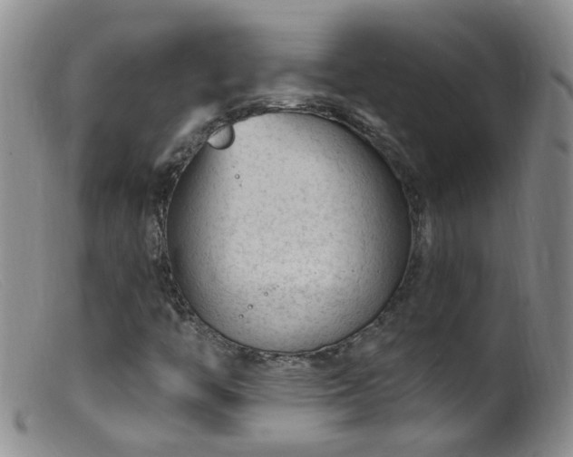 X0000099481446200805161123