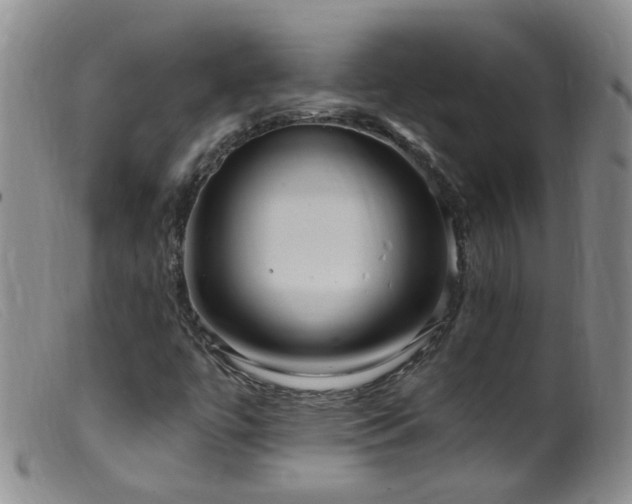 X0000099481447200805161123