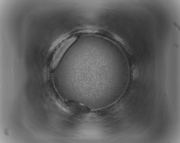 X0000099481448200805161123