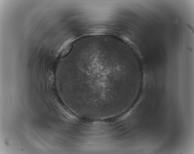 X0000099481449200805161123
