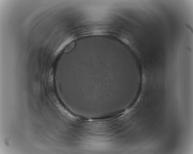X0000099481450200805161123