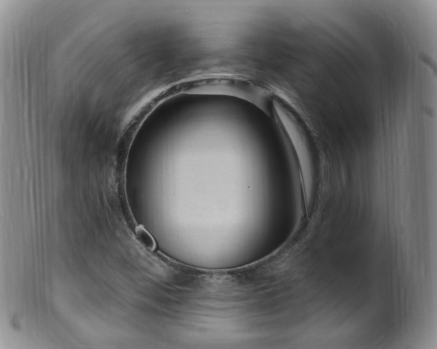 X0000099481452200805161123
