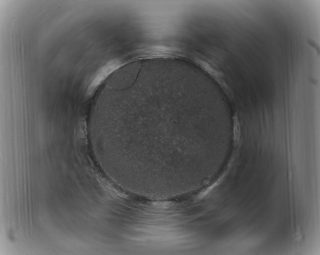 X0000099481453200805161123