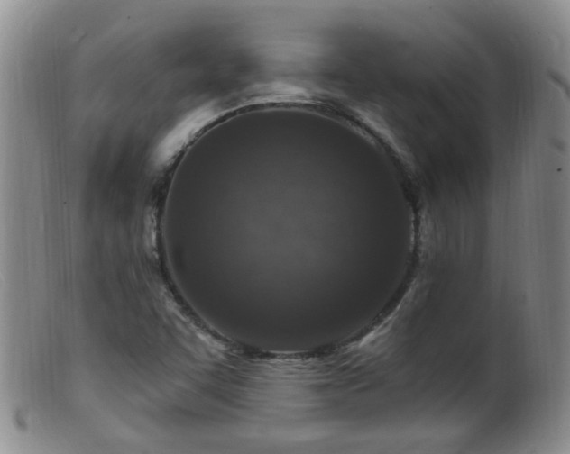 X0000099481455200805161123