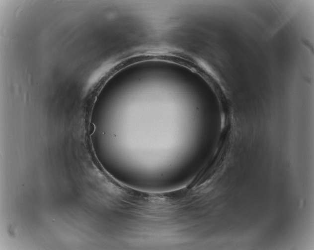 X0000099481456200805161123
