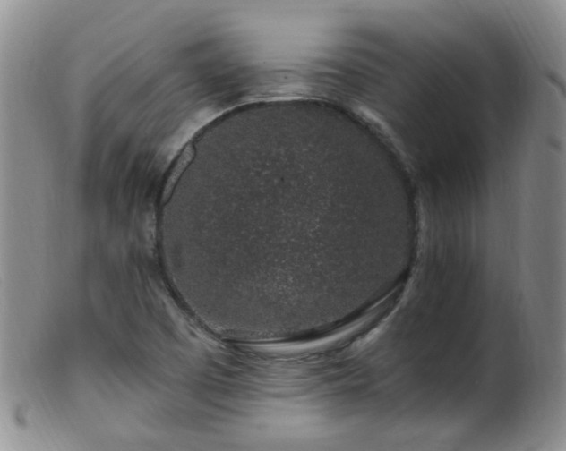 X0000099481457200805161123