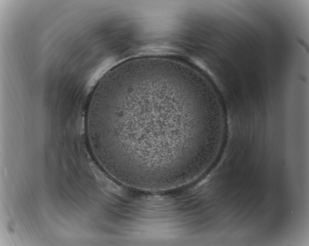 X0000099481459200805161123
