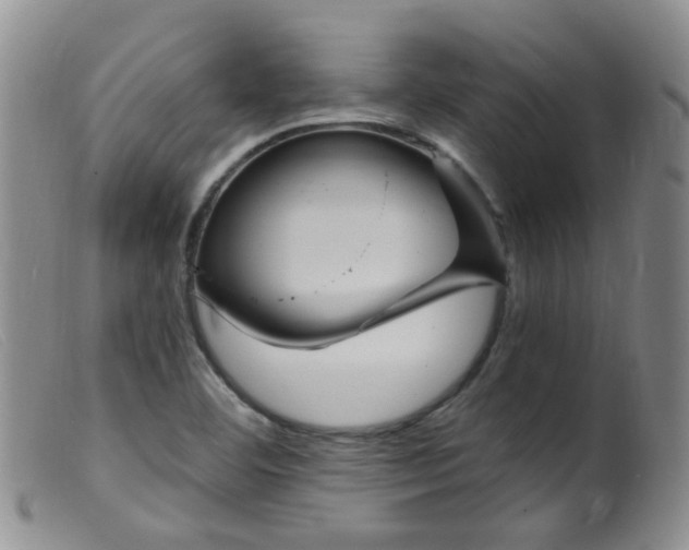 X0000099481460200805161123