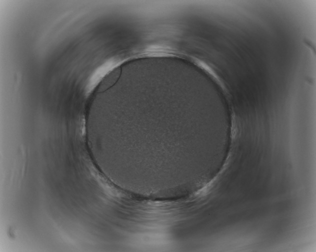 X0000099481461200805161123