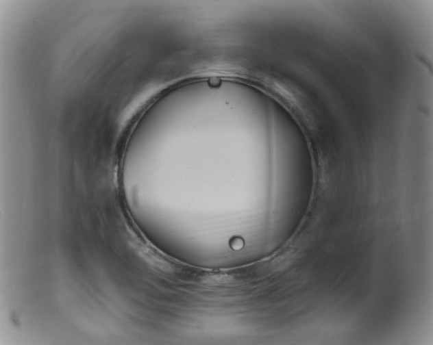 X0000099481462200805161123