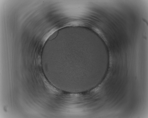X0000099481465200805161123