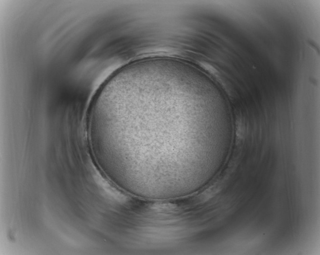 X0000099481466200805161123