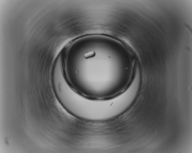 X0000099481468200805161123