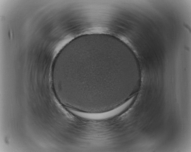 X0000099481469200805161123