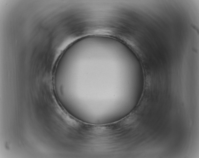 X0000099481470200805161123