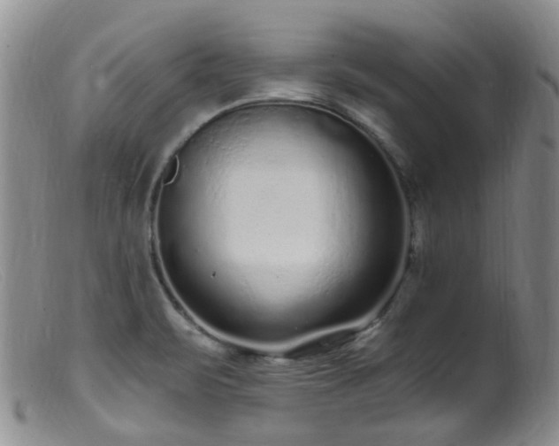 X0000099481471200805161123