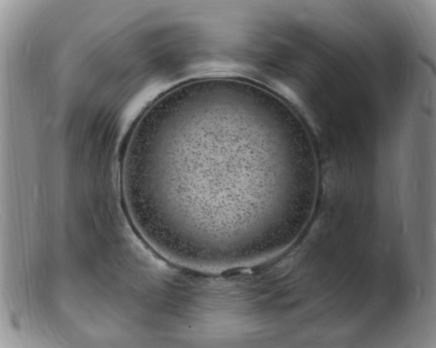 X0000099481472200805161123