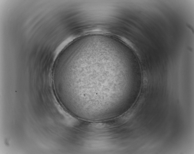 X0000099481474200805161123