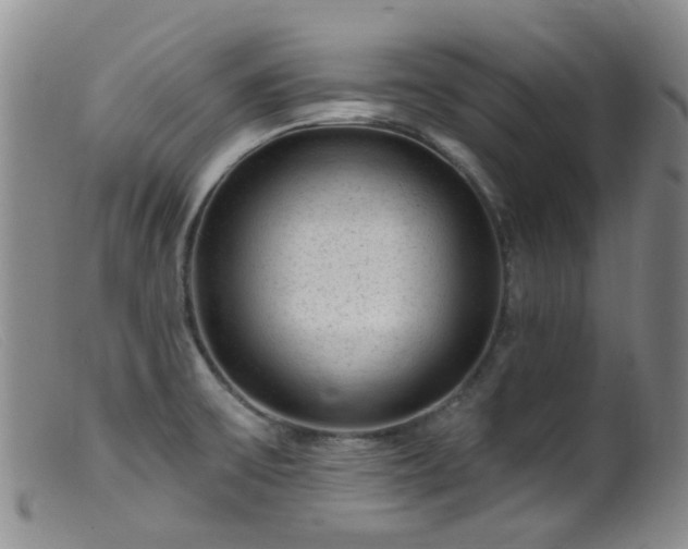 X0000099481475200805161123