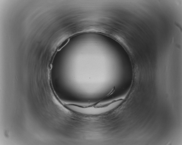 X0000099481476200805161123