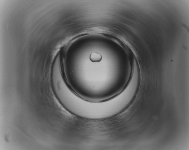 X0000099481477200805161123