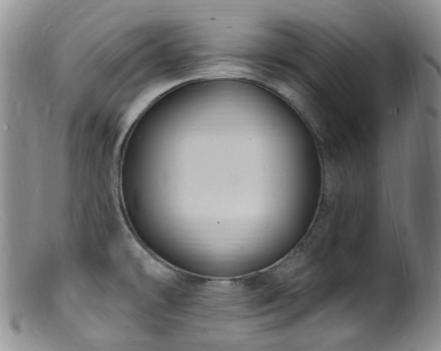 X0000099481478200805161123