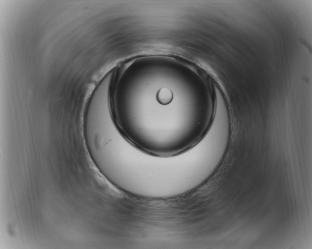 X0000099481480200805161123