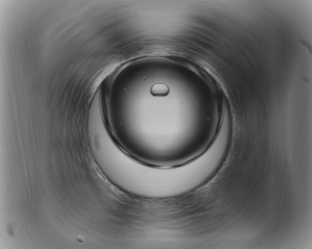 X0000099481481200805161123