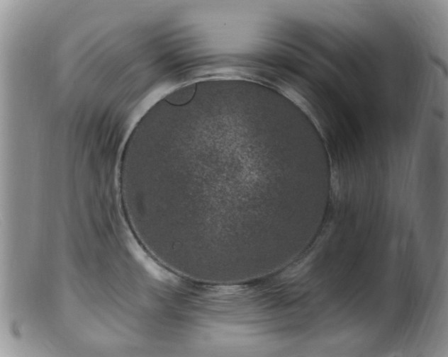 X0000099481482200805161123