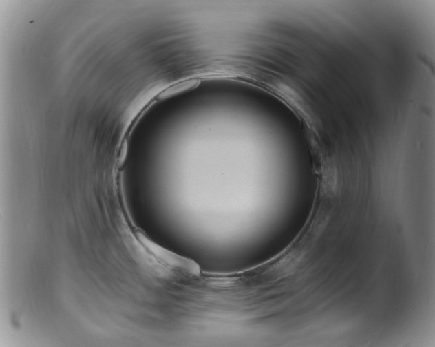X0000099481484200805161123
