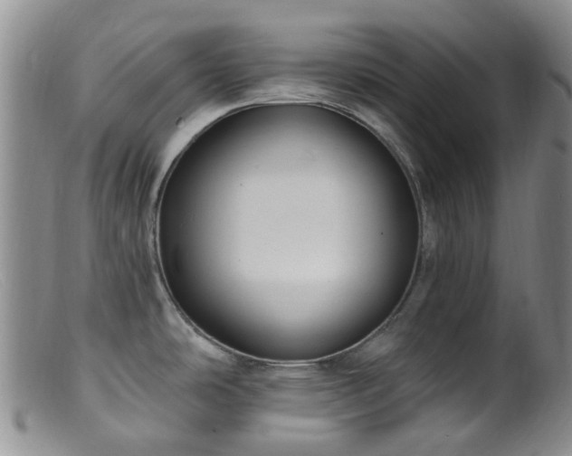 X0000099481486200805161123