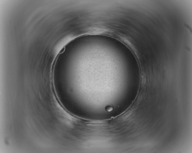 X0000099481487200805161123