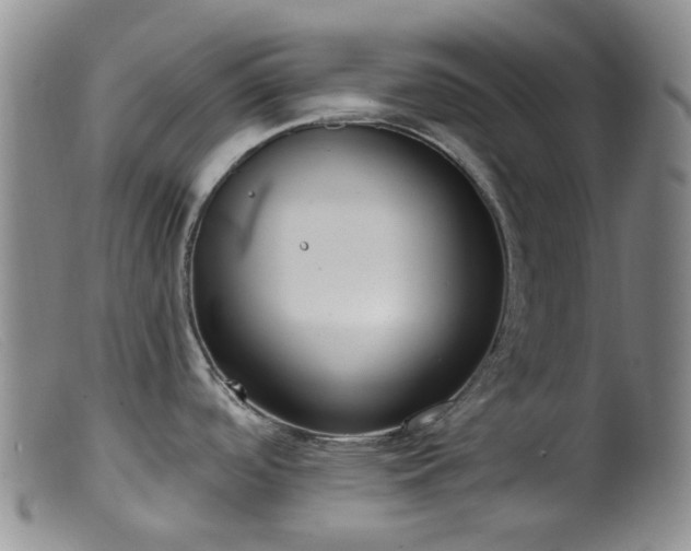 X0000099481488200805161123
