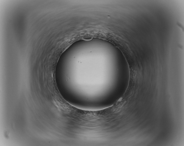 X0000099481489200805161122