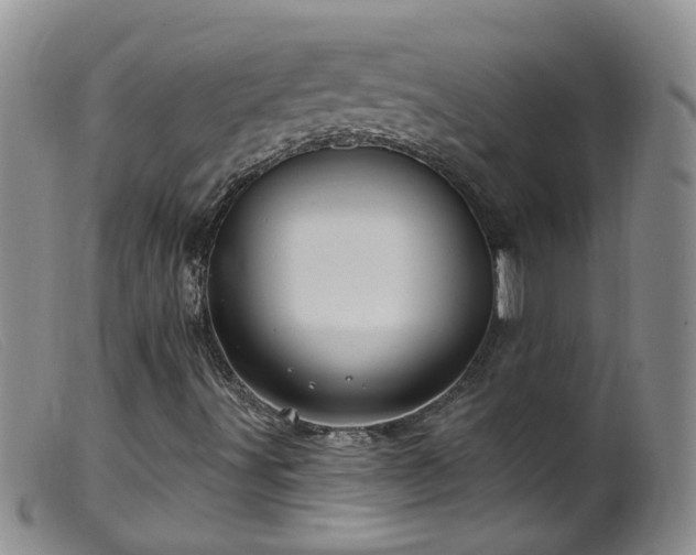 X0000099481491200805161122