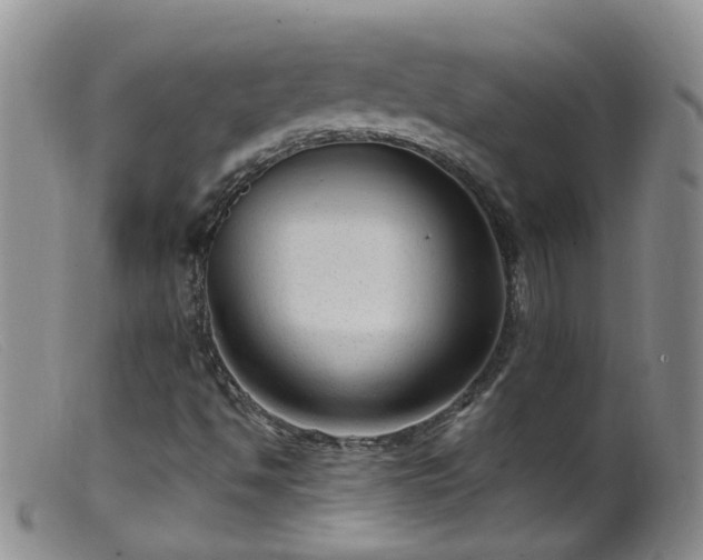 X0000099481494200805161122