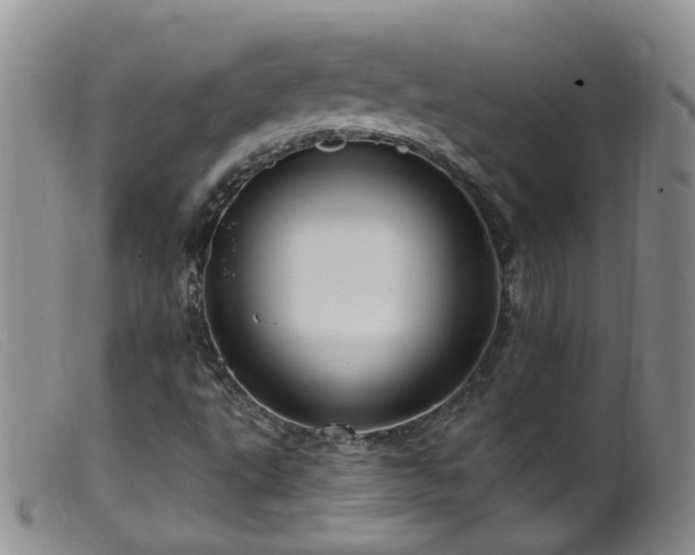 X0000099481495200805161122